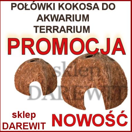 domki kokosowe 1/2 kokosa - sklep darewit Warszawa