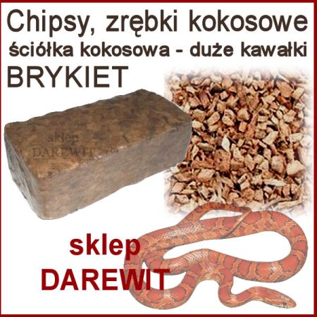 podłoże prasowane do terrarium - sklep darewit Warszawa