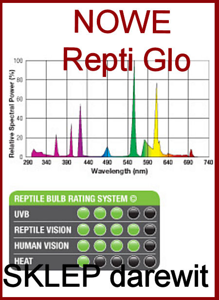 exo Terra Repti glo dla legwanów