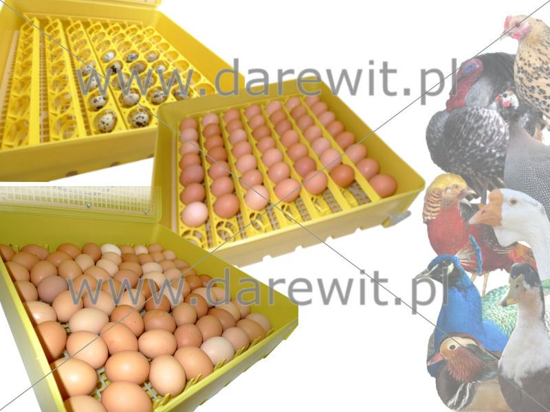 mały pojemny inkubator jaj dla kur perliczek i innych