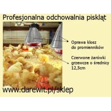 Łatwe i tanie ogrzewania kurczaków z inkubatora Łatwe i tanie ogrzewania kurczaków z inkubatora