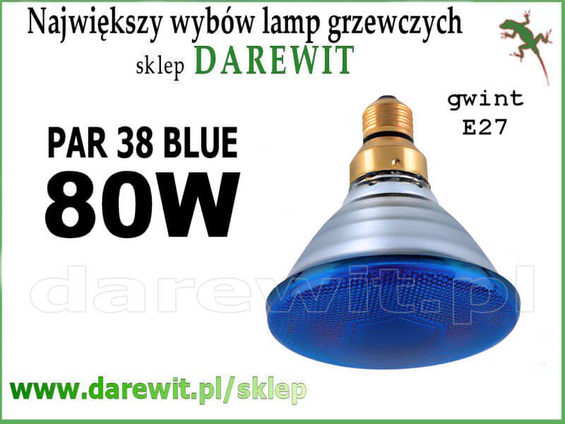 Niebieski Sollux PAR 38 - sklep darewit Warszawa