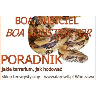 Jak hodować boa z domu? Porady terrarystyczne