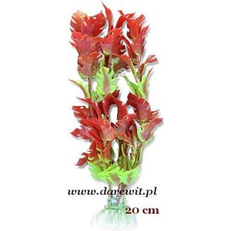 Roślina czerwona liście duże 20cm 2B/49k