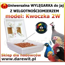 Uniwersalna Kwoczka 2W wylęgarka jaj + wilgotnościomierz inkubator Uniwersalna Kwoczka 2W wylęgarka jaj + wilgotnościomierz inkubator