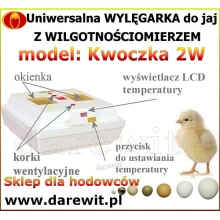 Super skuteczny klujnik kurczaków Super skuteczny klujnik kurczaków