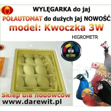 Podglądanie inkubacji przez okienka inkubatora Podglądanie inkubacji przez okienka inkubatora