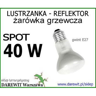 Dzienny Spot 40W E27, ŻARÓWKA GRZEWCZA REFLEKTOROWA Terrarex